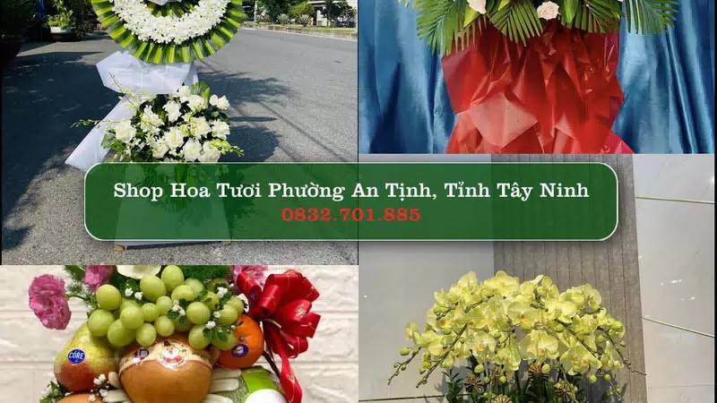 Shop Hoa Tươi Phường An Tịnh - Tỉnh Tây Ninh