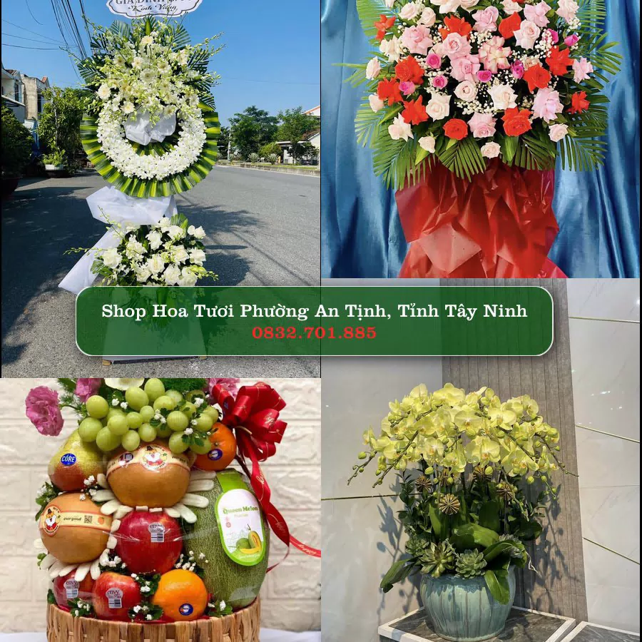 Shop Hoa Tươi Phường An Tịnh - Tỉnh Tây Ninh