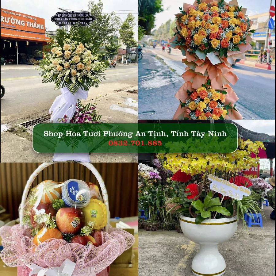 Shop hoa tươi Phường An Tịnh, Tỉnh Tây Ninh - ThuyHoaTuoi.Com giao hoa tận nơi