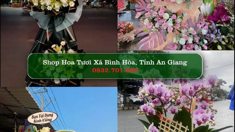 Shop Hoa Tươi Xã Bình Hòa - Tỉnh An Giang