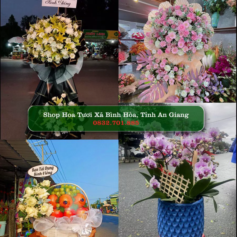 Shop Hoa Tươi Xã Bình Hòa - Tỉnh An Giang
