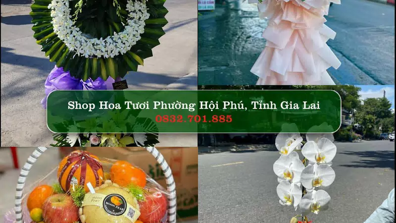 Shop Hoa Tươi Phường Hội Phú - Tỉnh Gia Lai