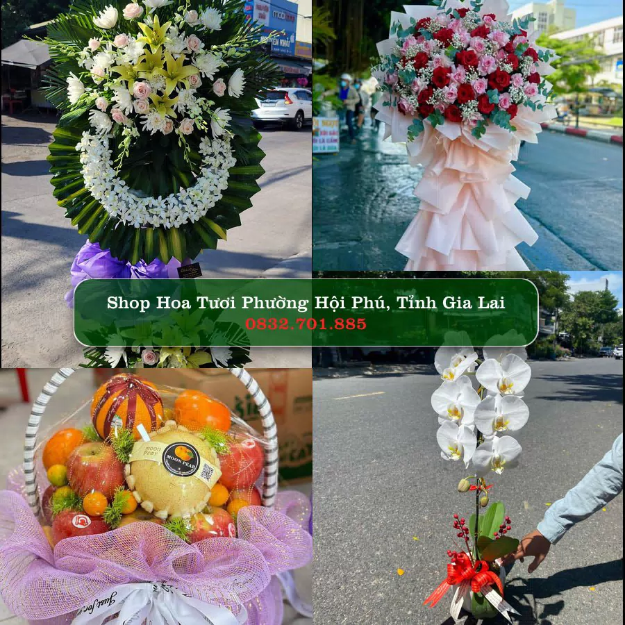 Shop Hoa Tươi Phường Hội Phú - Tỉnh Gia Lai