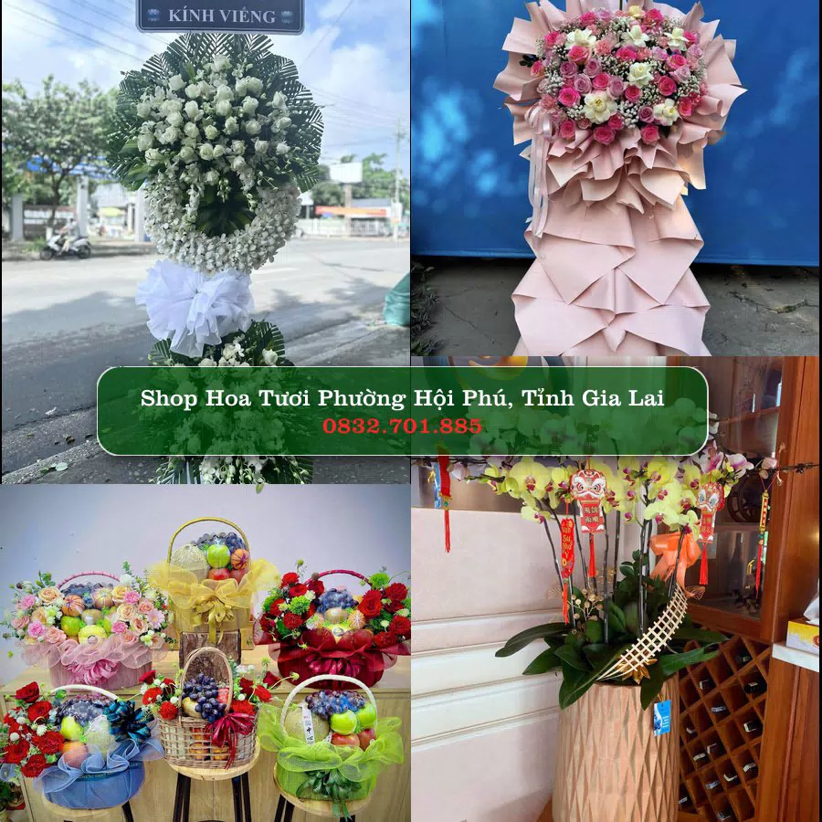 Shop hoa tươi Phường Hội Phú, Tỉnh Gia Lai - ThuyHoaTuoi.Com giao hoa tận nơi