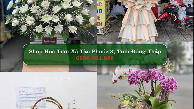 Shop Hoa Tươi Xã Tân Phước 3 - Tỉnh Đồng Tháp