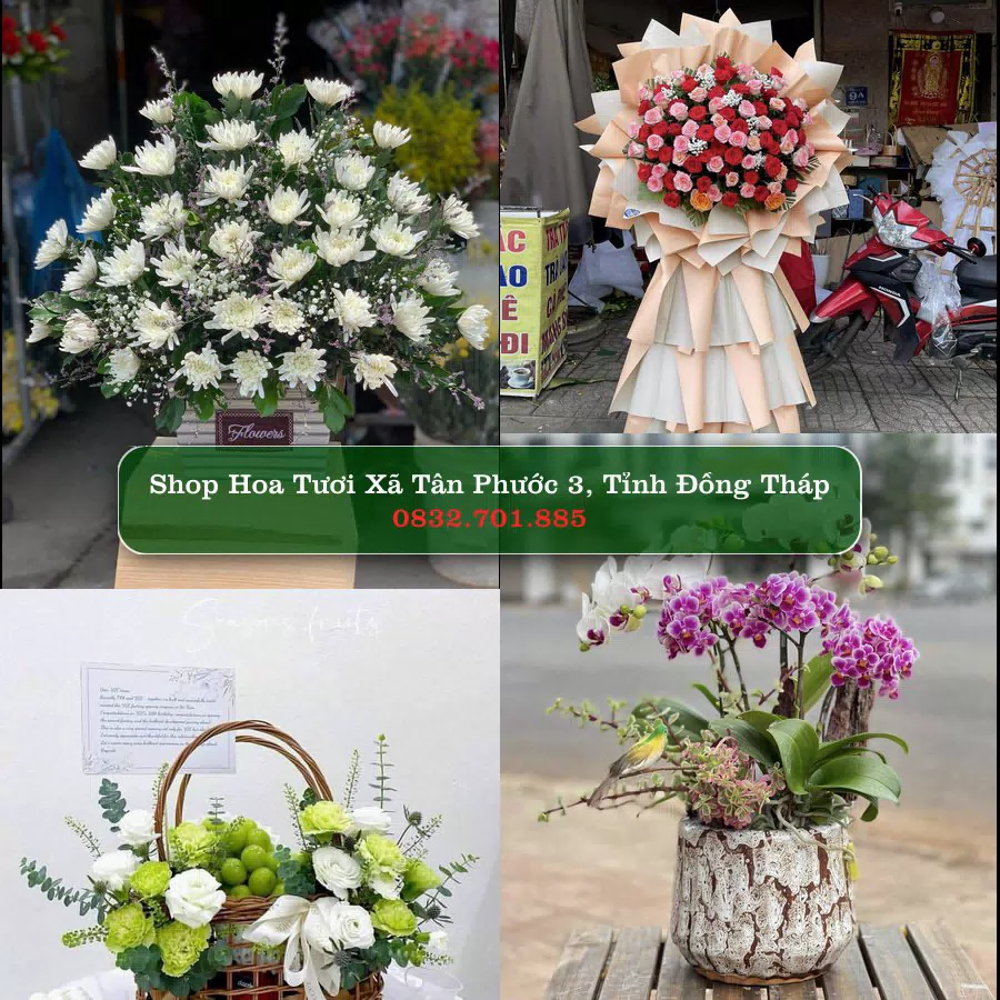 Shop Hoa Tươi Xã Tân Phước 3 - Tỉnh Đồng Tháp