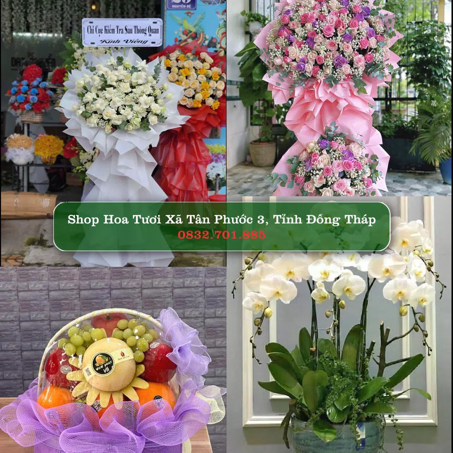 Shop hoa tươi Xã Tân Phước 3, Tỉnh Đồng Tháp - ThuyHoaTuoi.Com giao hoa tận nơi