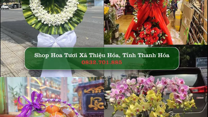 Shop Hoa Tươi Xã Thiệu Hóa - Tỉnh Thanh Hóa