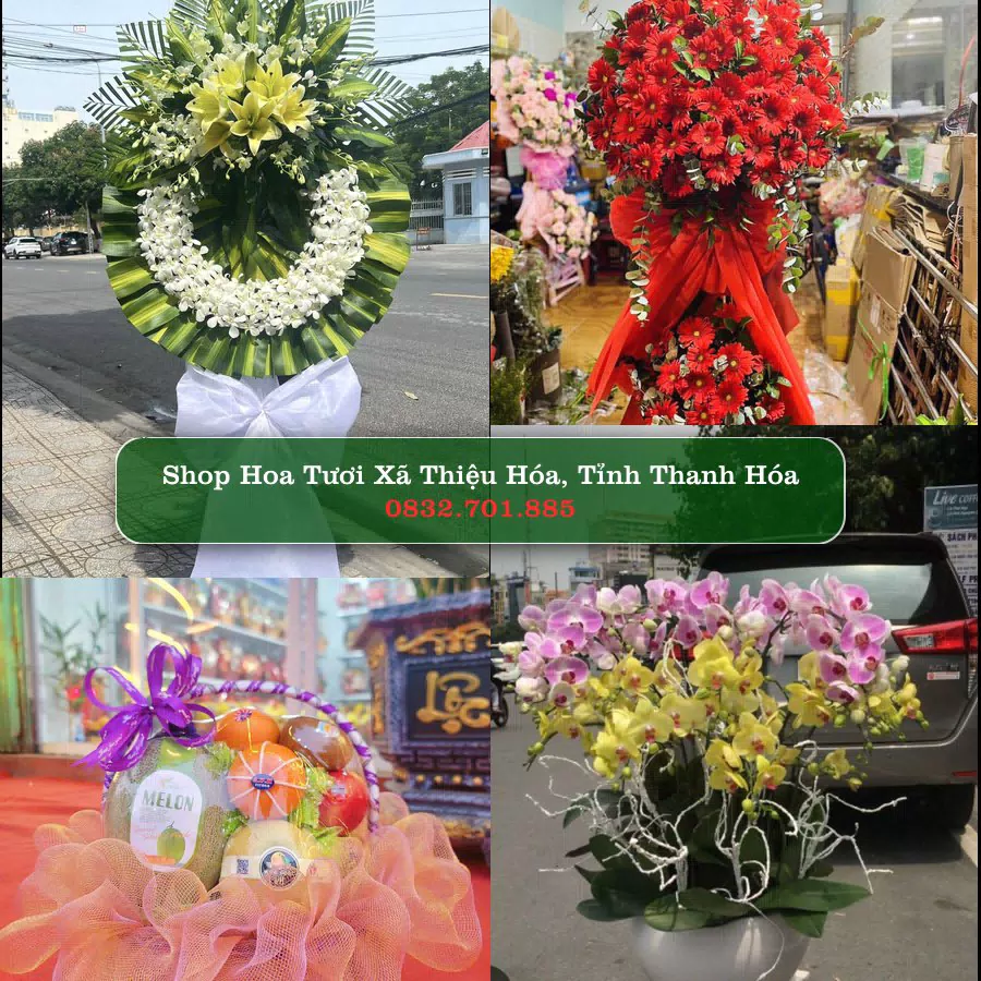 Shop Hoa Tươi Xã Thiệu Hóa - Tỉnh Thanh Hóa