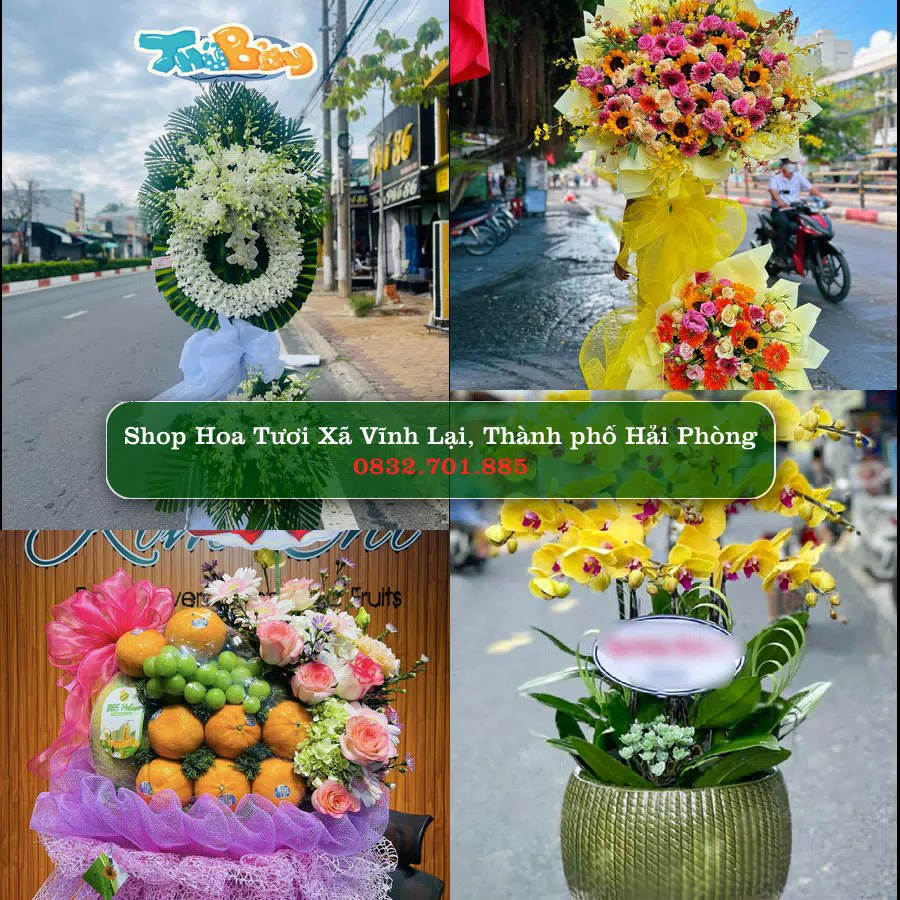 Shop hoa tươi Xã Vĩnh Lại, Thành phố Hải Phòng - ThuyHoaTuoi.Com giao hoa tận nơi
