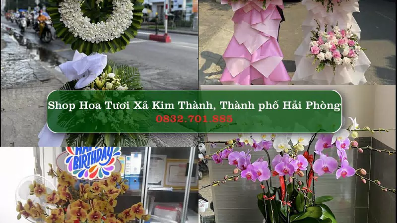 Shop Hoa Tươi Xã Kim Thành - Thành phố Hải Phòng