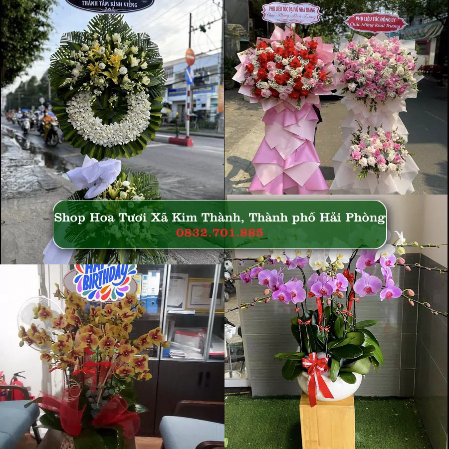 Shop Hoa Tươi Xã Kim Thành - Thành phố Hải Phòng