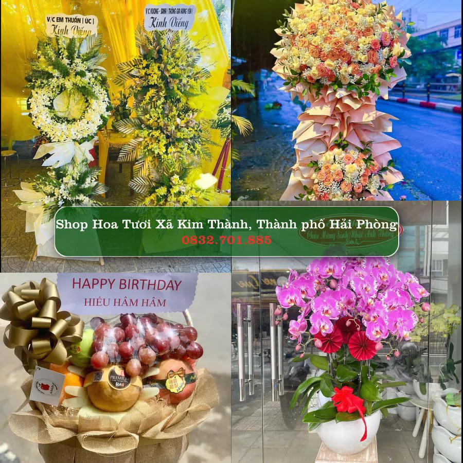 Shop hoa tươi Xã Kim Thành, Thành phố Hải Phòng - ThuyHoaTuoi.Com giao hoa tận nơi