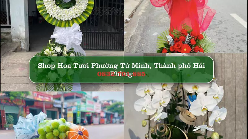 Shop Hoa Tươi Phường Tứ Minh - Thành phố Hải Phòng