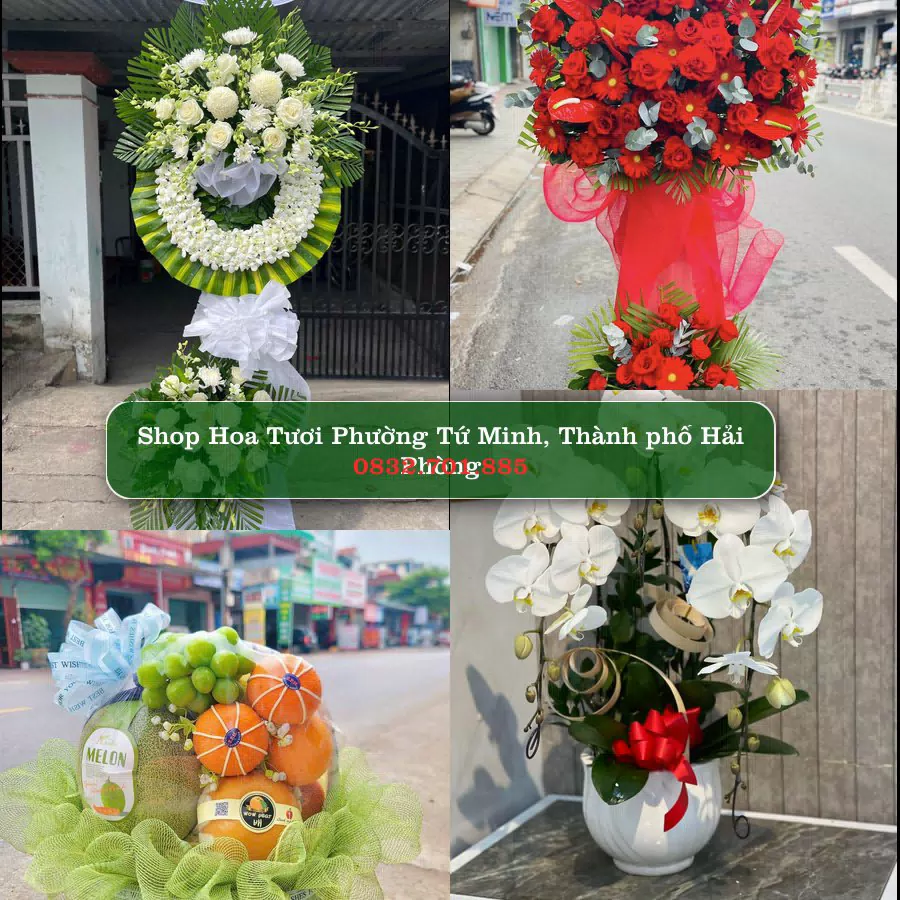 Shop Hoa Tươi Phường Tứ Minh - Thành phố Hải Phòng