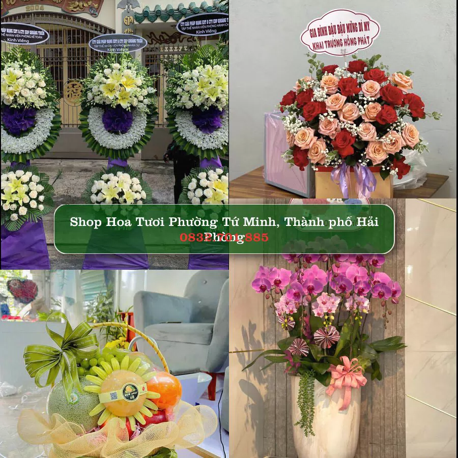 Shop hoa tươi Phường Tứ Minh, Thành phố Hải Phòng - ThuyHoaTuoi.Com giao hoa tận nơi