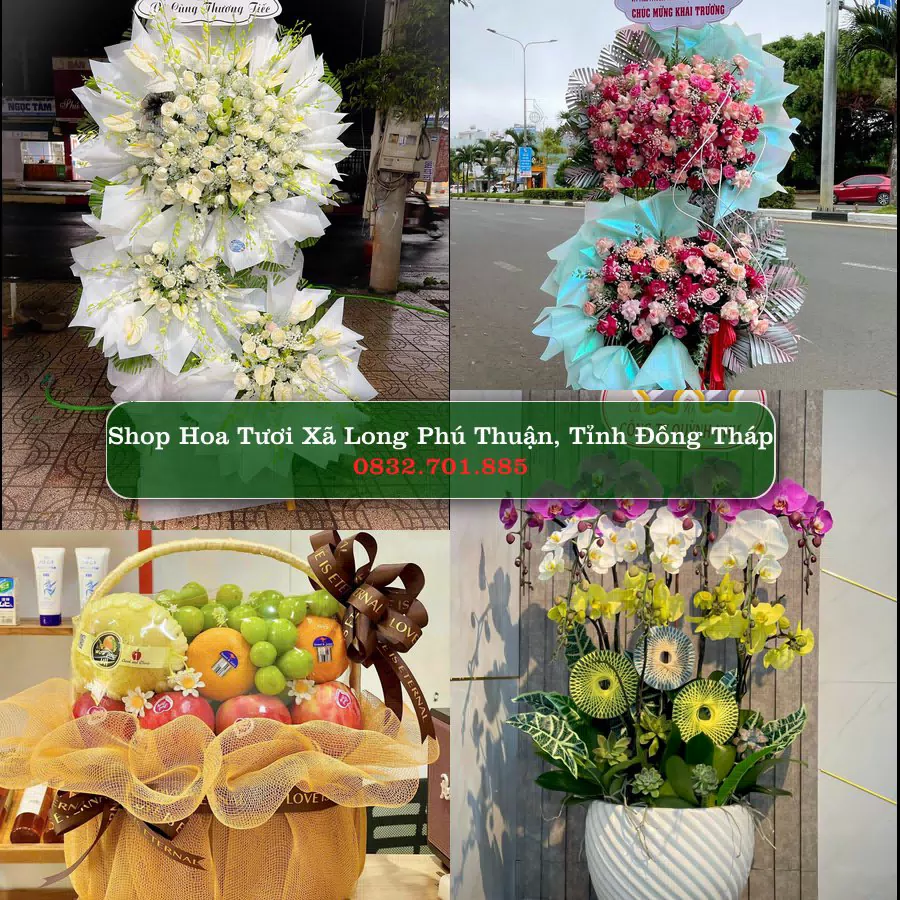 Shop Hoa Tươi Xã Long Phú Thuận - Tỉnh Đồng Tháp