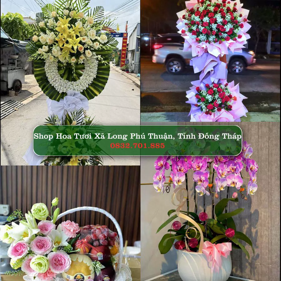 Shop hoa tươi Xã Long Phú Thuận, Tỉnh Đồng Tháp - ThuyHoaTuoi.Com giao hoa tận nơi