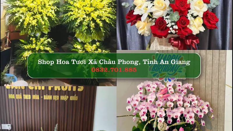 Shop Hoa Tươi Xã Châu Phong - Tỉnh An Giang