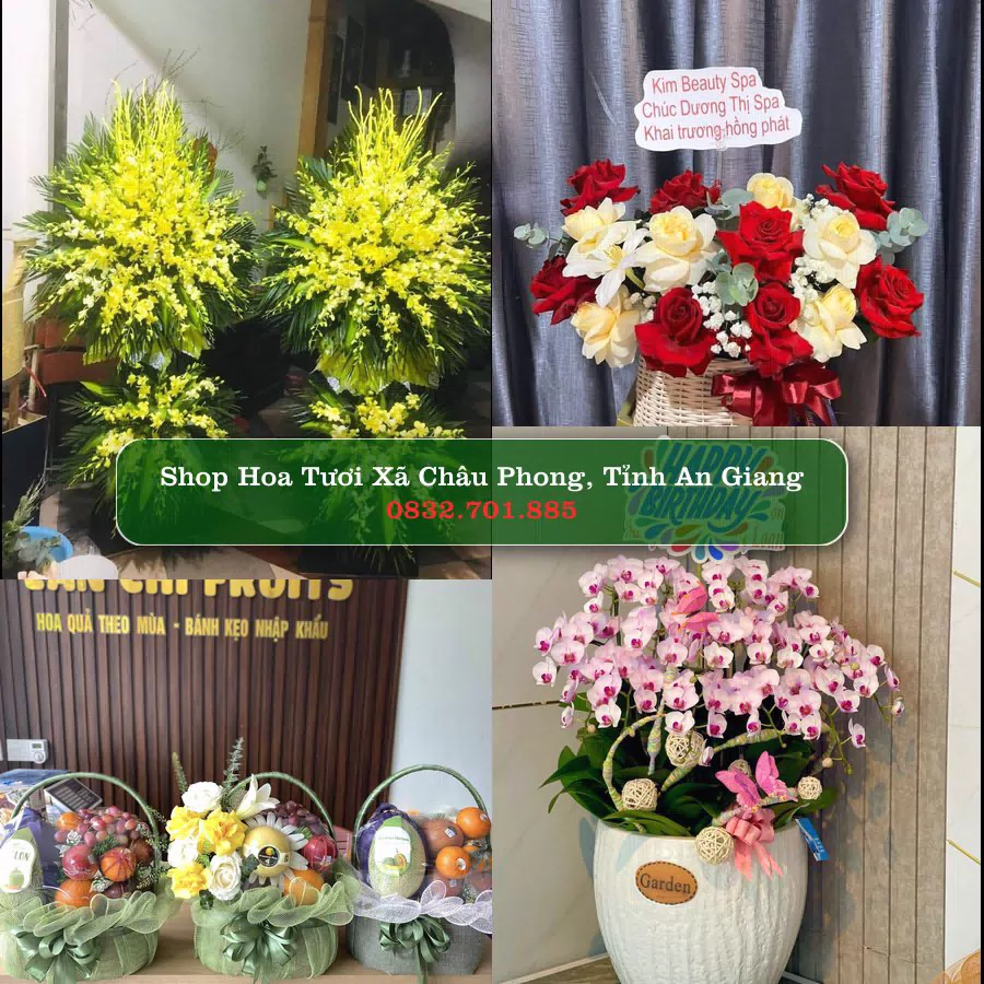 Shop Hoa Tươi Xã Châu Phong - Tỉnh An Giang