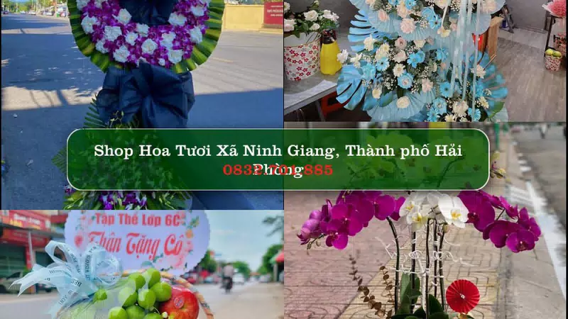 Shop Hoa Tươi Xã Ninh Giang - Thành phố Hải Phòng