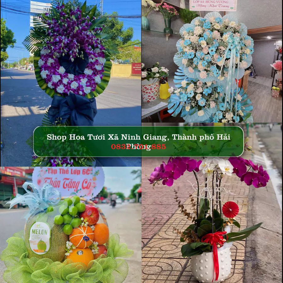 Shop Hoa Tươi Xã Ninh Giang - Thành phố Hải Phòng