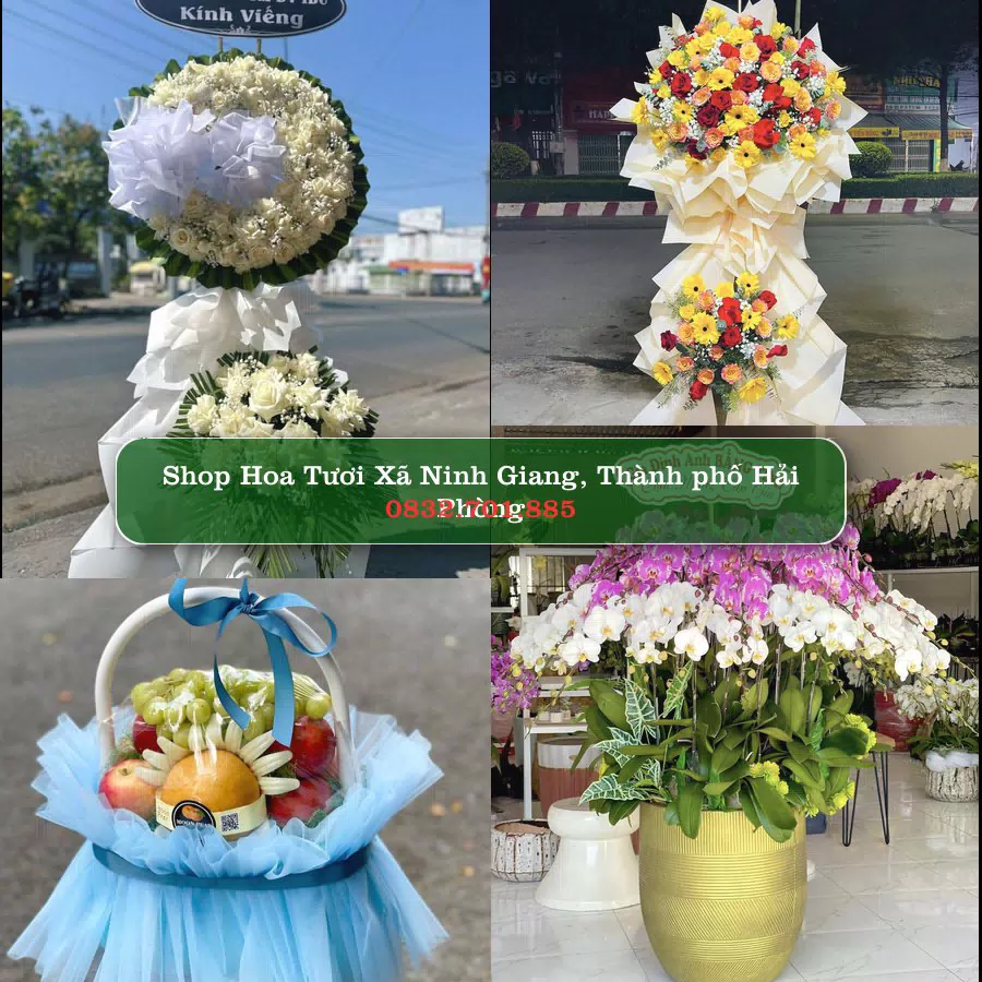 Shop hoa tươi Xã Ninh Giang, Thành phố Hải Phòng - ThuyHoaTuoi.Com giao hoa tận nơi