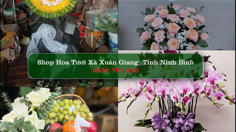 Shop Hoa Tươi Xã Xuân Giang - Tỉnh Ninh Bình