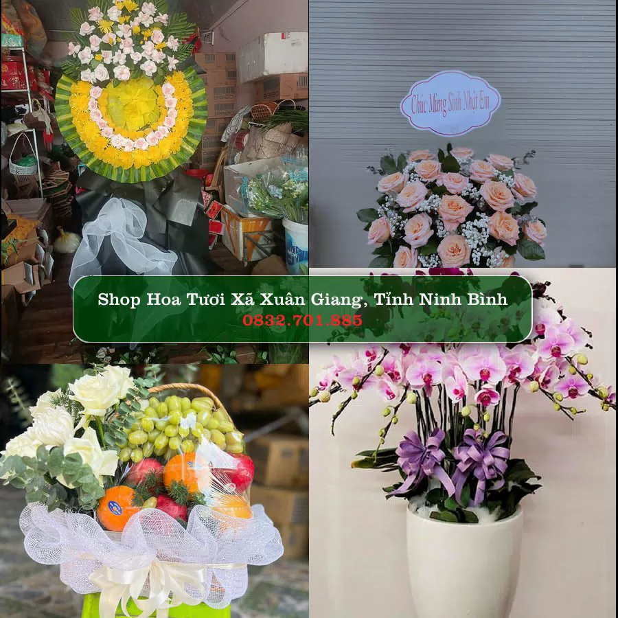Shop Hoa Tươi Xã Xuân Giang - Tỉnh Ninh Bình