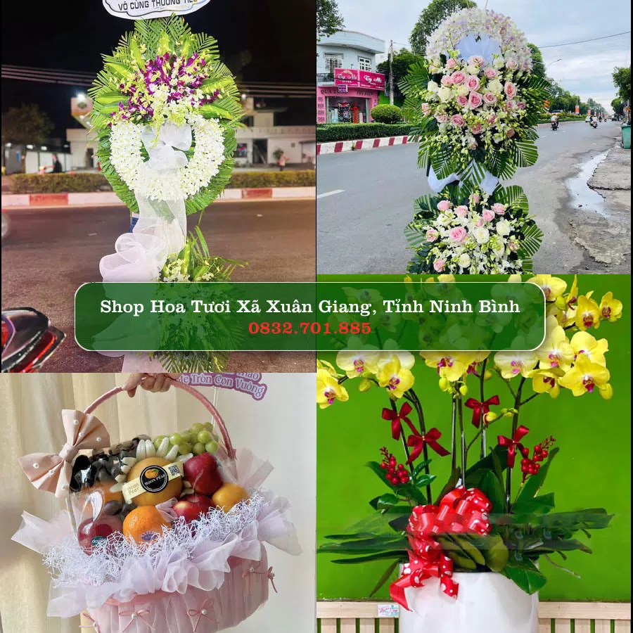 Shop hoa tươi Xã Xuân Giang, Tỉnh Ninh Bình - ThuyHoaTuoi.Com giao hoa tận nơi