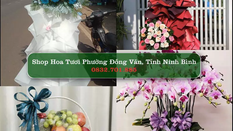 Shop Hoa Tươi Phường Đồng Văn - Tỉnh Ninh Bình