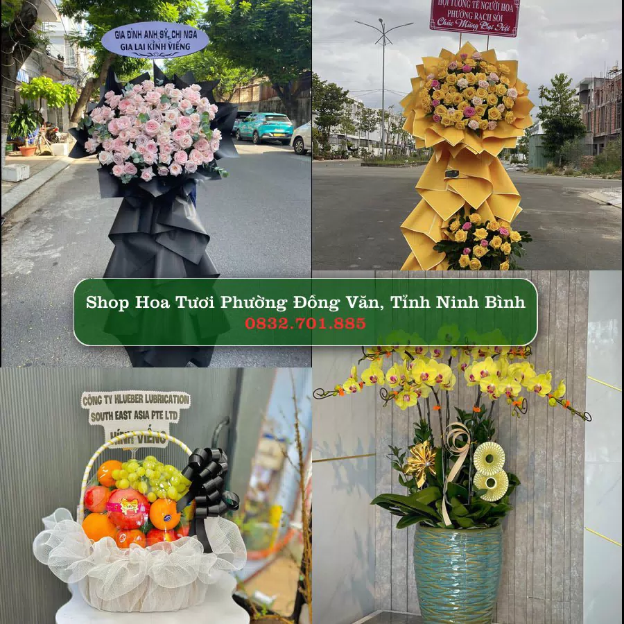 Shop hoa tươi Phường Đồng Văn, Tỉnh Ninh Bình - ThuyHoaTuoi.Com giao hoa tận nơi