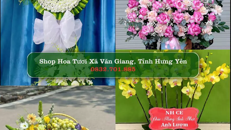Shop Hoa Tươi Xã Văn Giang - Tỉnh Hưng Yên