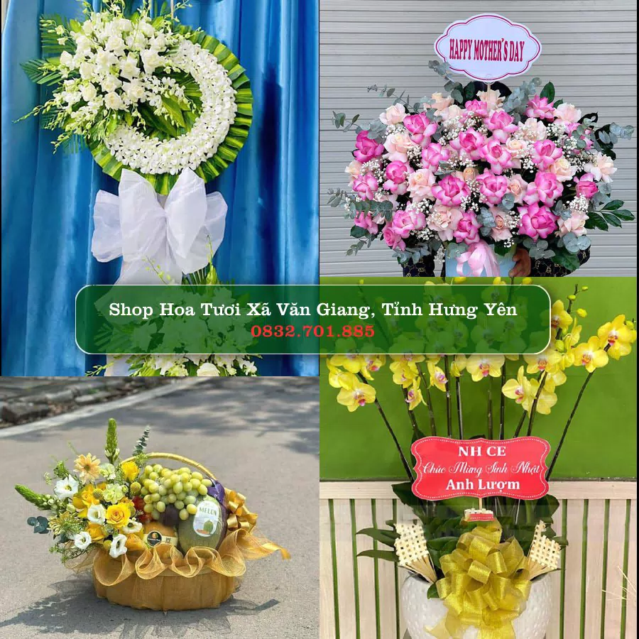 Shop Hoa Tươi Xã Văn Giang - Tỉnh Hưng Yên