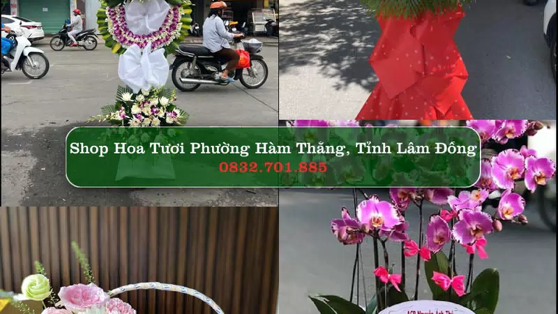Shop Hoa Tươi Phường Hàm Thắng - Tỉnh Lâm Đồng