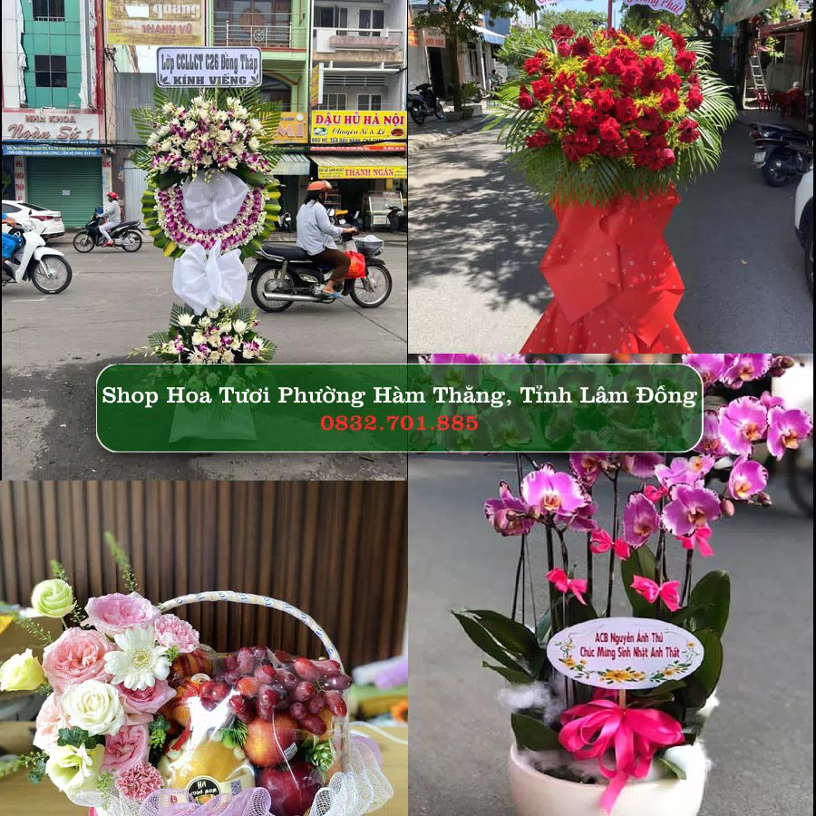 Shop Hoa Tươi Phường Hàm Thắng - Tỉnh Lâm Đồng