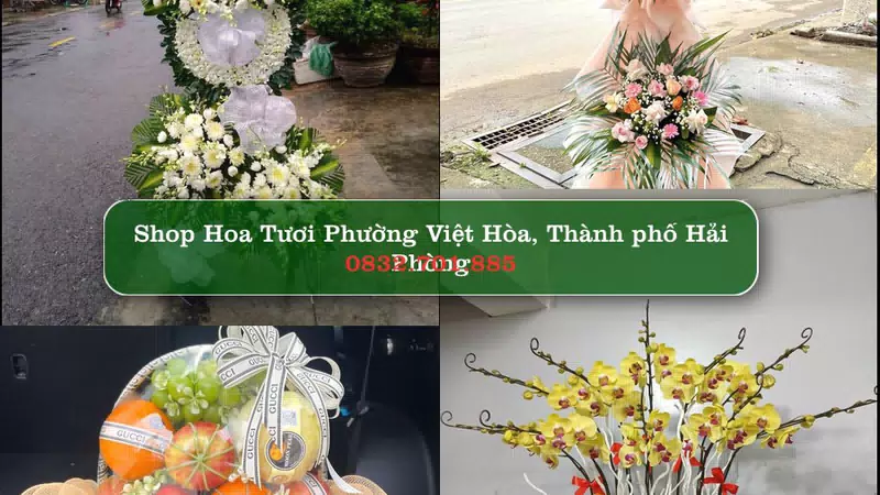 Shop Hoa Tươi Phường Việt Hòa - Thành phố Hải Phòng