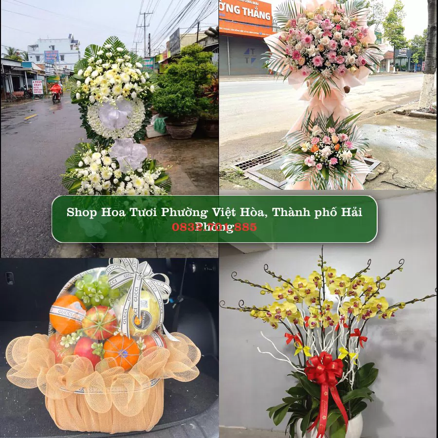 Shop Hoa Tươi Phường Việt Hòa - Thành phố Hải Phòng