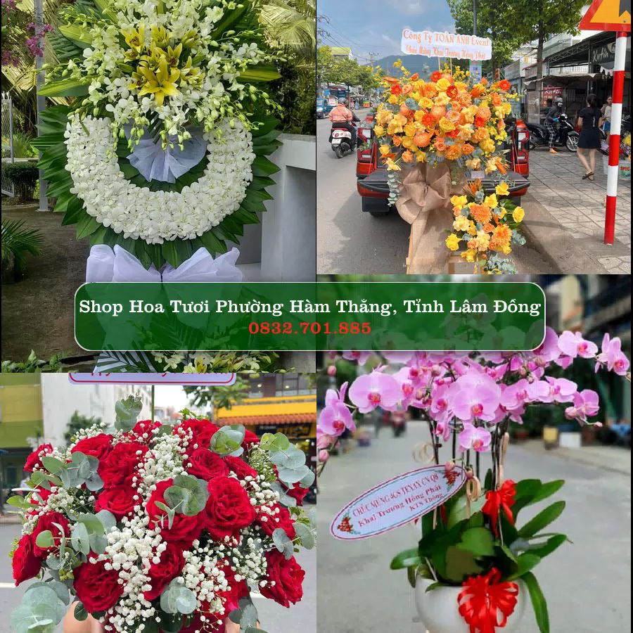 Shop hoa tươi Phường Hàm Thắng, Tỉnh Lâm Đồng - ThuyHoaTuoi.Com giao hoa tận nơi