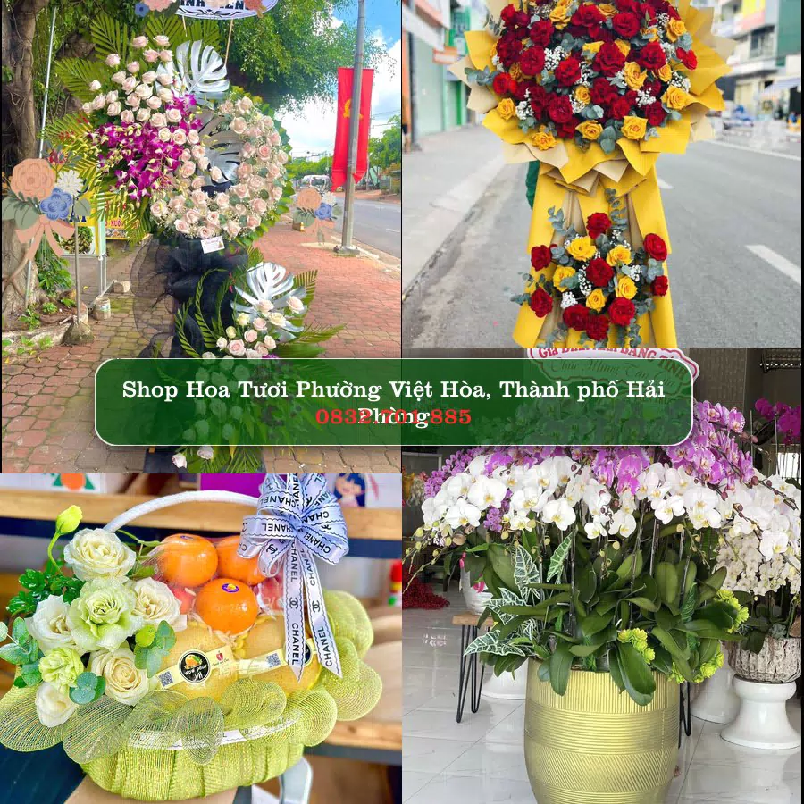 Shop hoa tươi Phường Việt Hòa, Thành phố Hải Phòng - ThuyHoaTuoi.Com giao hoa tận nơi