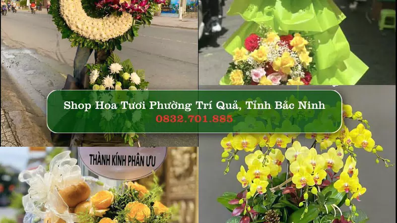 Shop Hoa Tươi Phường Trí Quả - Tỉnh Bắc Ninh