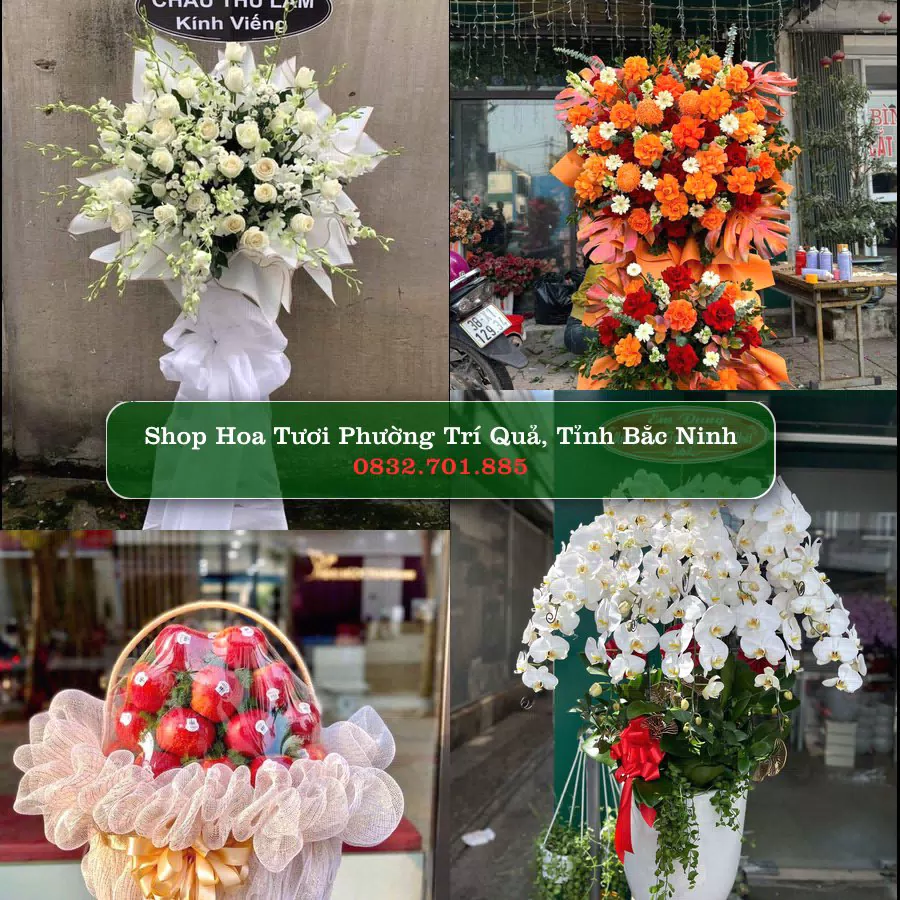 Shop hoa tươi Phường Trí Quả, Tỉnh Bắc Ninh - ThuyHoaTuoi.Com giao hoa tận nơi
