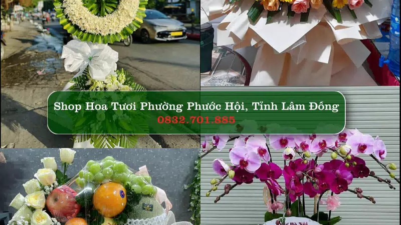 Shop Hoa Tươi Phường Phước Hội - Tỉnh Lâm Đồng