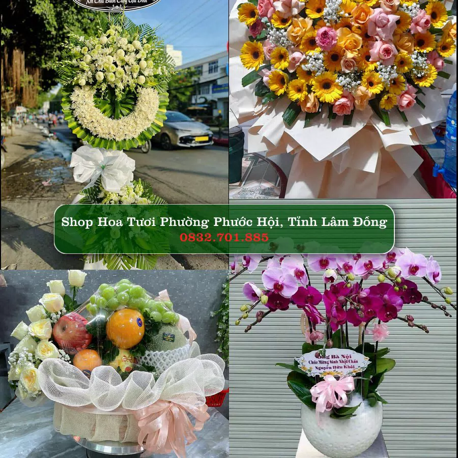 Shop Hoa Tươi Phường Phước Hội - Tỉnh Lâm Đồng