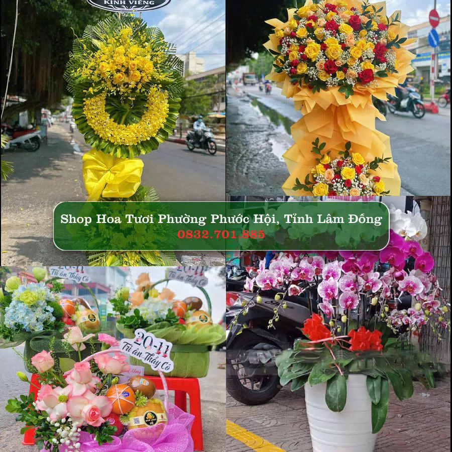 Shop hoa tươi Phường Phước Hội, Tỉnh Lâm Đồng - ThuyHoaTuoi.Com giao hoa tận nơi