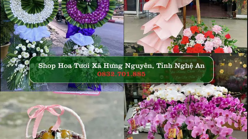 Shop Hoa Tươi Xã Hưng Nguyên - Tỉnh Nghệ An