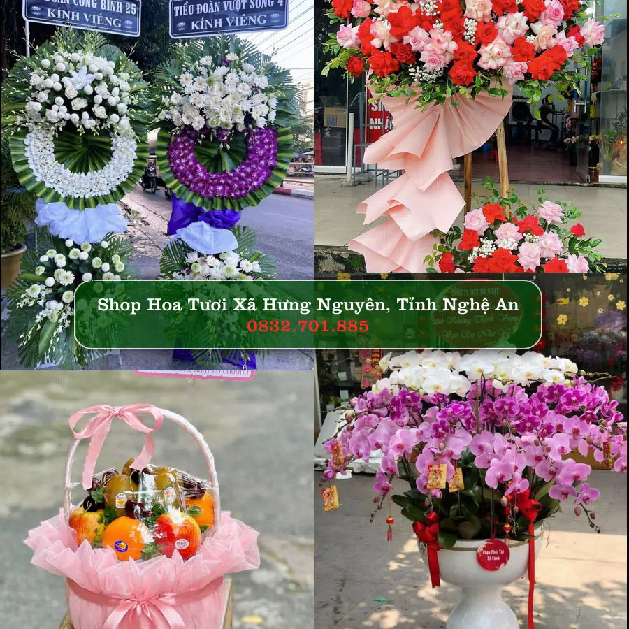 Shop Hoa Tươi Xã Hưng Nguyên - Tỉnh Nghệ An