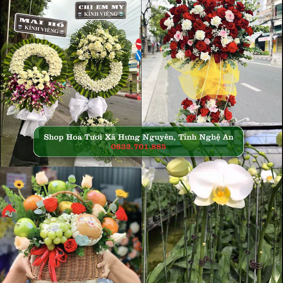 Shop hoa tươi Xã Hưng Nguyên, Tỉnh Nghệ An - ThuyHoaTuoi.Com giao hoa tận nơi