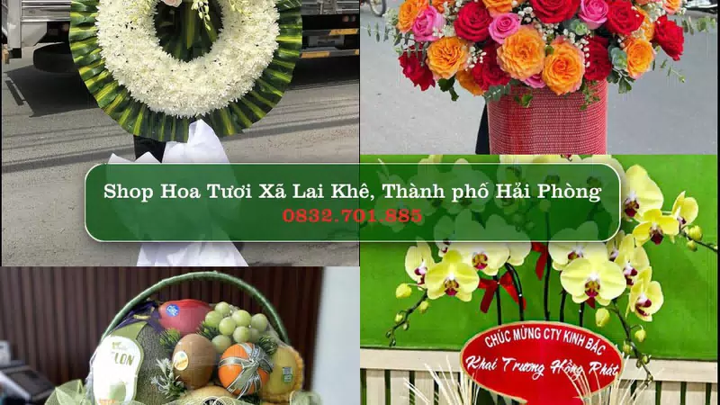 Shop Hoa Tươi Xã Lai Khê - Thành phố Hải Phòng
