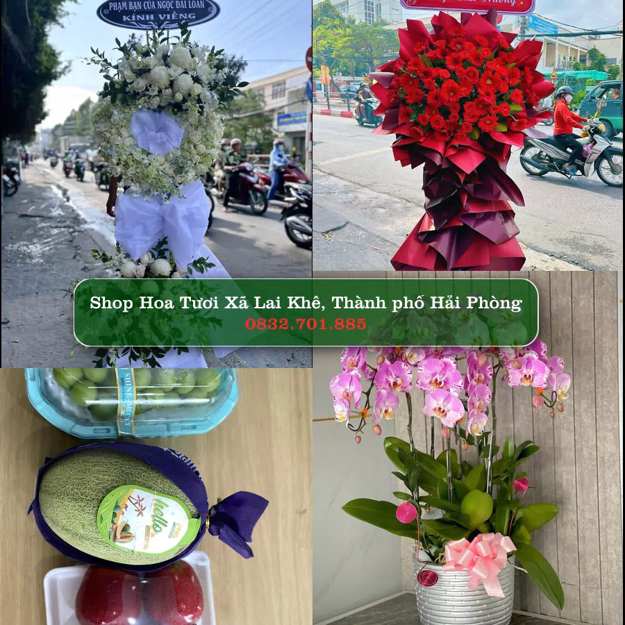 Shop hoa tươi Xã Lai Khê, Thành phố Hải Phòng - ThuyHoaTuoi.Com giao hoa tận nơi